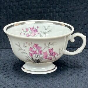 Karolina Poland China Teacup Pink Floral Silver Trim Vintage Porcelain 3879 7